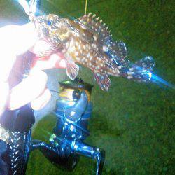 エギングランガン❤